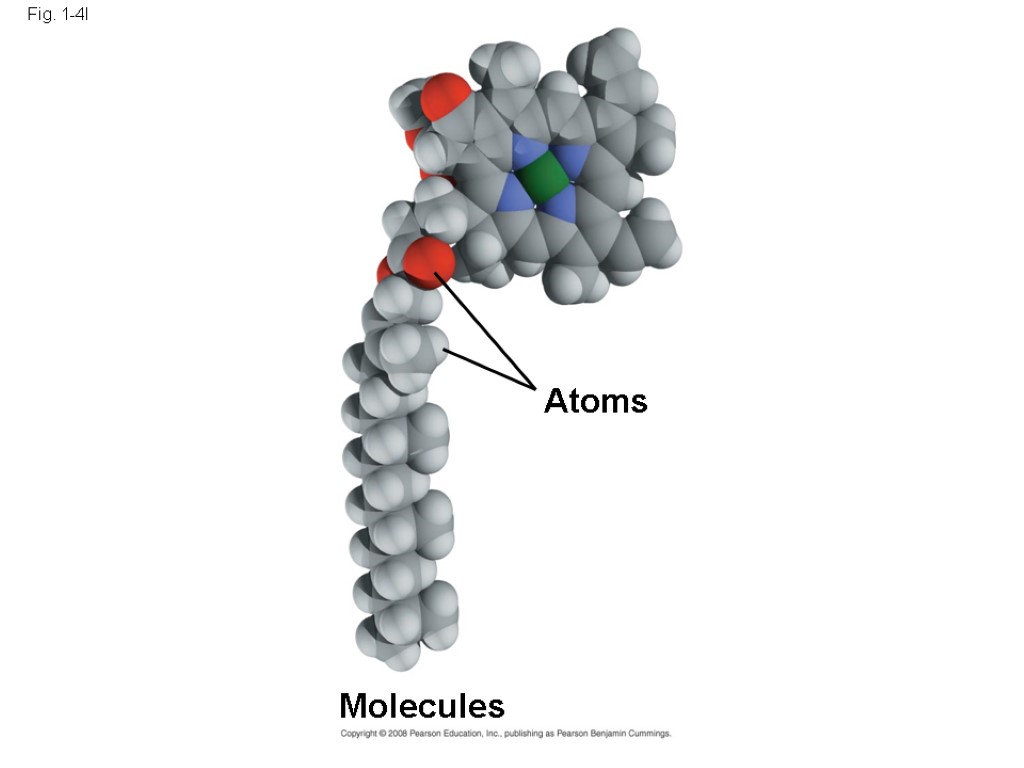 Fig. 1-4l Atoms Molecules